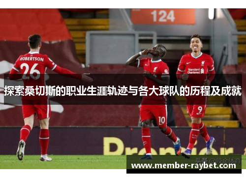 探索桑切斯的职业生涯轨迹与各大球队的历程及成就