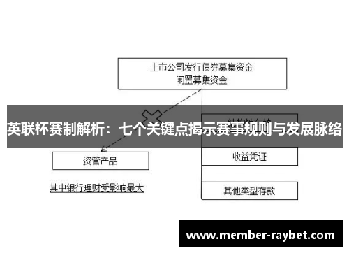 英联杯赛制解析：七个关键点揭示赛事规则与发展脉络