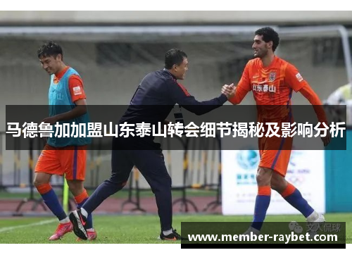 马德鲁加加盟山东泰山转会细节揭秘及影响分析