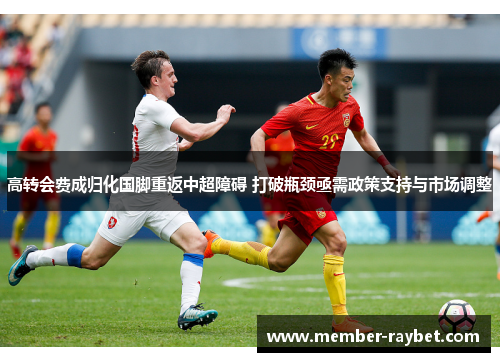 高转会费成归化国脚重返中超障碍 打破瓶颈亟需政策支持与市场调整 高转会费成归化国脚重返中超障碍 打破瓶颈亟需政策支持与市场调整